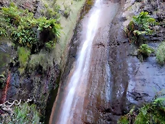 DSCN9597 DSCN9597