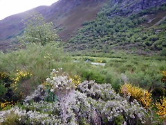 DSCN9732 DSCN9732