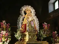 14, la virgen 1, marca