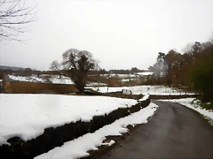 DSCN3050