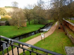 DSCN1774 DSCN1774