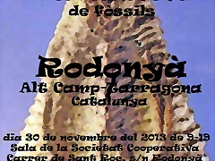 Cartell_2013_petit.jpgnegre. Cartell_2013_petit.jpgnegre.