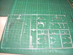 DSCN2830 DSCN2830