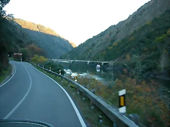 DSCN6537 DSCN6537