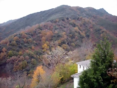DSCN0824 DSCN0824