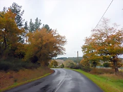 DSCN1160 DSCN1160