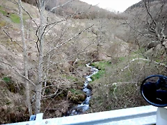 DSCN2003 DSCN2003