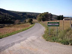 DSCN7900
