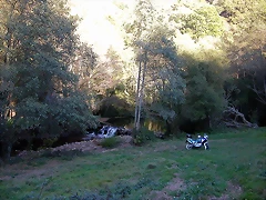 DSCN7905