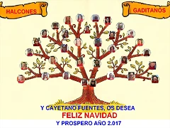 ARBOL ARBOL