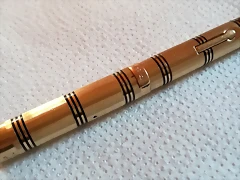 pluma general
