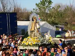 035, flores de la ofrenda 3, marca