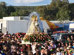 031, rojas rojas y amarillas, marca