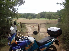 IMG_0398 IMG_0398