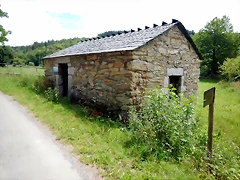 DSCN4416 DSCN4416