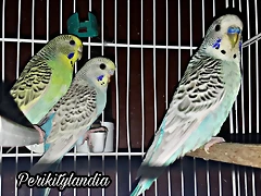 PicsArt_03-06-09.29.46