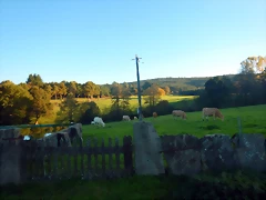 DSCN8965 DSCN8965