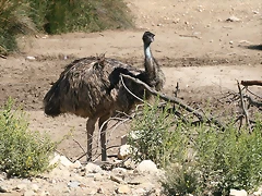 Zoo Lunaret + Sigean 18 i 19-09-10 2023 Zoo Lunaret + Sigean 18 i 19-09-10 2023