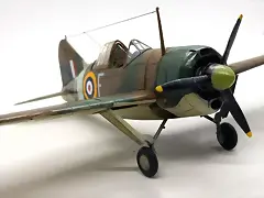 SDC39979