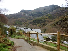 DSCN2922 DSCN2922