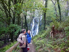 DSCN4738 DSCN4738