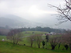 DSCN8185 DSCN8185
