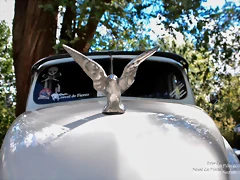 DSC_0104 DSC_0104