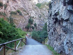 DSCN1424