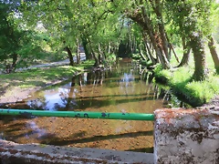 013-Imagen 014 013-Imagen 014