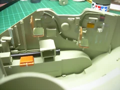 DSCN3113 DSCN3113