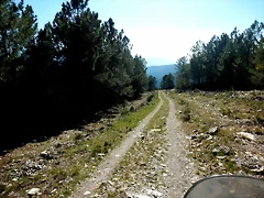 DSCN3869