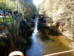 DSCN7845