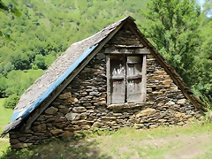 IMG_6791 IMG_6791