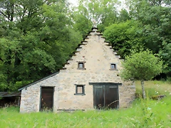 IMG_6512 IMG_6512