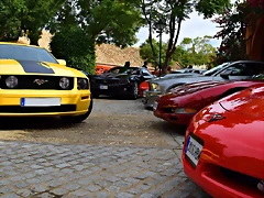 DSC_0861 DSC_0861