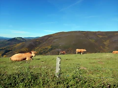 DSCN0974