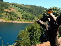 DSCN4145 DSCN4145