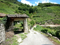 DSCN7808 DSCN7808