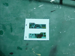 P1110218 P1110218