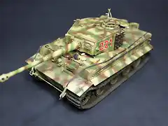 TIGER15