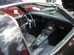 SDC15504 SDC15504