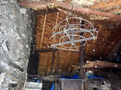 DSCN0343 DSCN0343