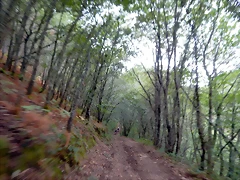 DSCN7200 DSCN7200