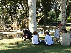 DSC04552 DSC04552