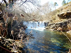 DSCN1519 DSCN1519