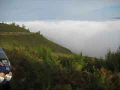 IMG_0372 IMG_0372