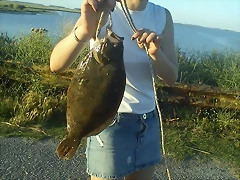 IMG-20121210-WA0001