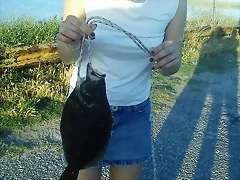 IMG-20121210-WA0003