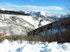 DSCN1812 DSCN1812