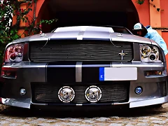 DSC_0780 DSC_0780